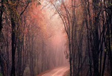 破茧成蝶：一支球队的向前之路，汗水铸就的胜利荣光