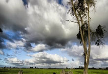 精英队伍夺金收官，实力碾压对手令人瞠目