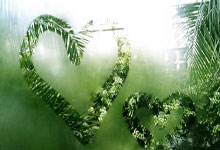 绿茵传奇继续！河南建业客场力克卓尔，不败金身闪耀江城！