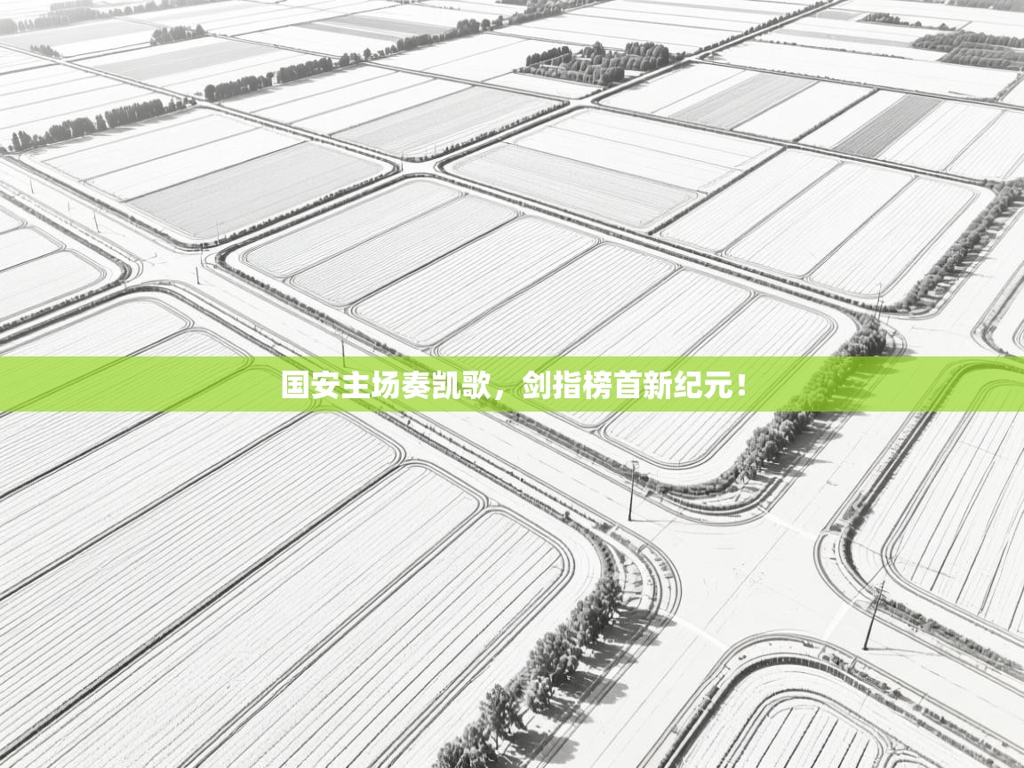 国安主场奏凯歌,剑指榜首新纪元! 第2张