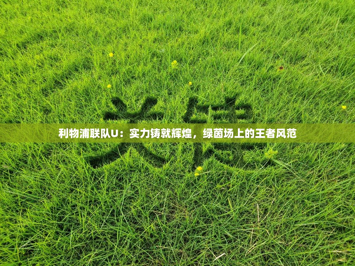利物浦联队U：实力铸就辉煌，绿茵场上的王者风范