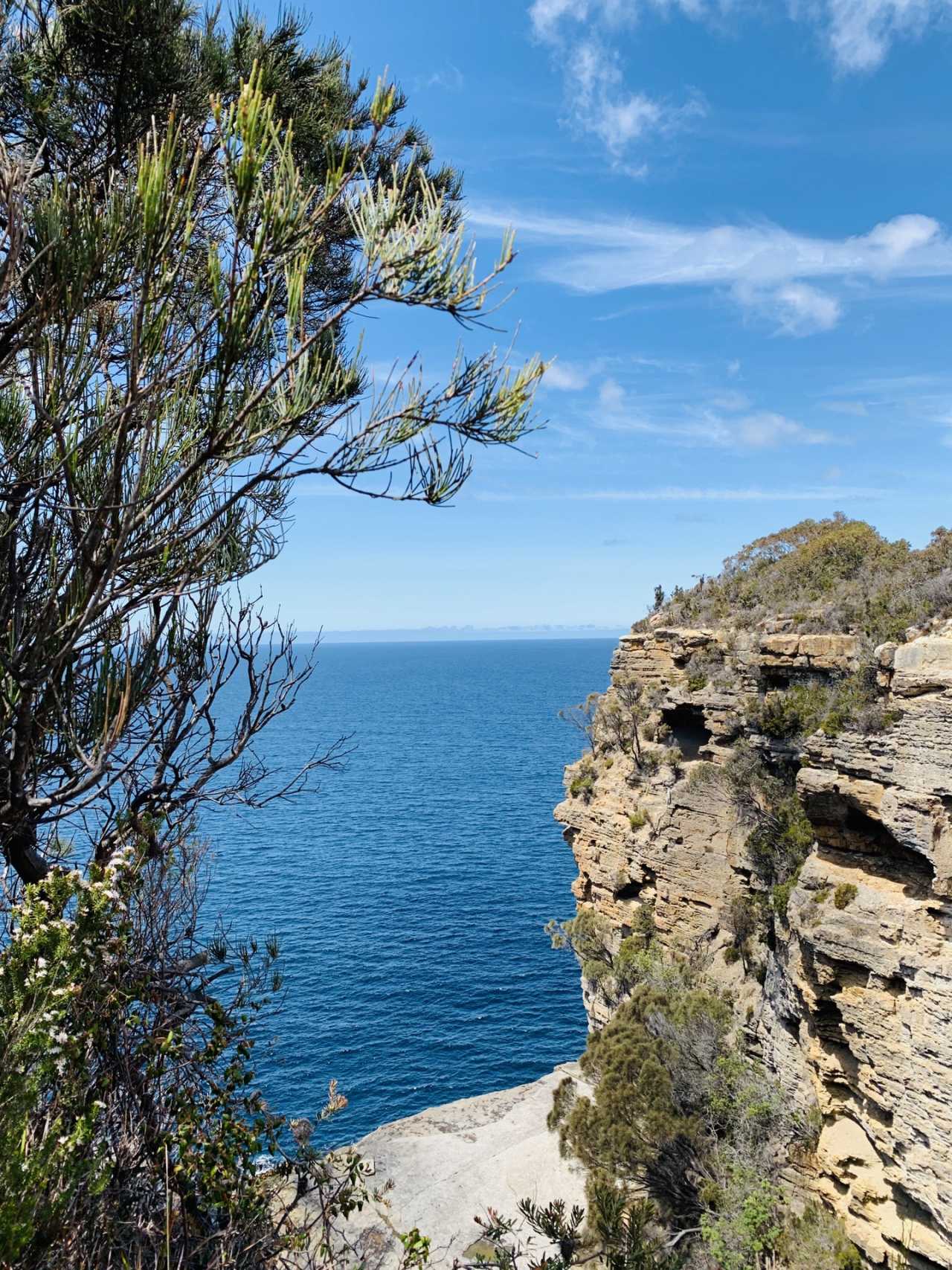 包含塔斯马尼亚联连续不败,争冠形势一片大好的词条 包含塔斯马尼亚联连续不败,争冠形势一片大好的词条