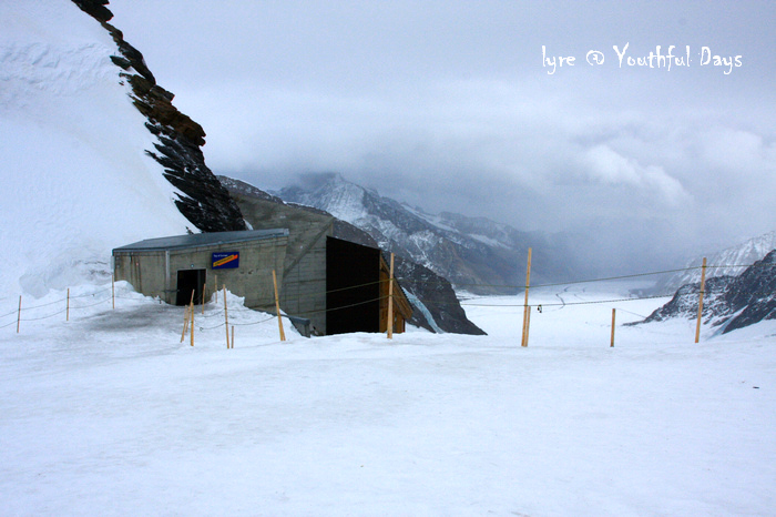 关于瑞士迎战秘鲁,争取晋级机会的信息 关于瑞士迎战秘鲁,争取晋级机会的信息